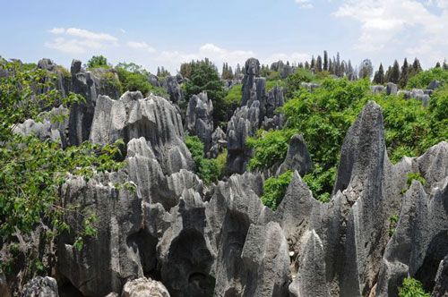 Foto-Stone-Forest-National-Park-China